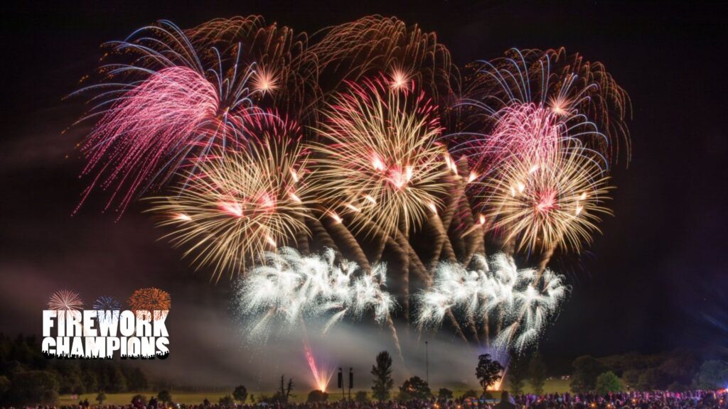 Colorful fireworks burst in the night sky above a crowd, with "Firework Champions" text on the left.